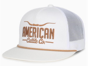Longhorn Hat